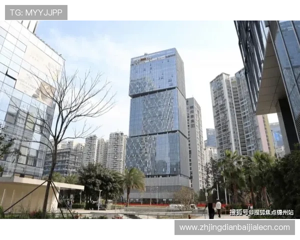 多宝视讯公司成立的地点及其在行业中的地理优势分析