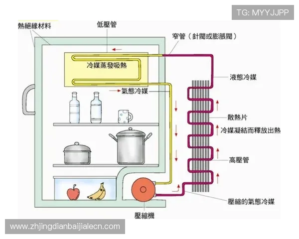 深入了解百家乐规则大全从入门到精通的详细攻略与实用技巧分享