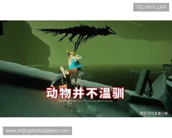 登录AG国际厅官网享受专业客服支持,解决您的所有游戏与账户问题 登录AG国际厅官网享受专业客服支持,解决您的所有游戏与账户问题